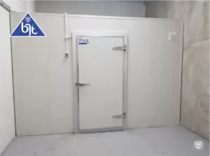 Cold Storage Skala Kecil Suhu -20°C untuk Bisnis Frozen Food dan UMKM